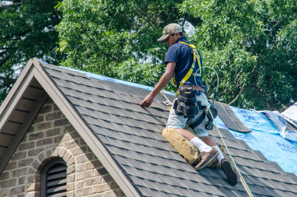 Best Local Roofing Companies  in Gibsonville, NC